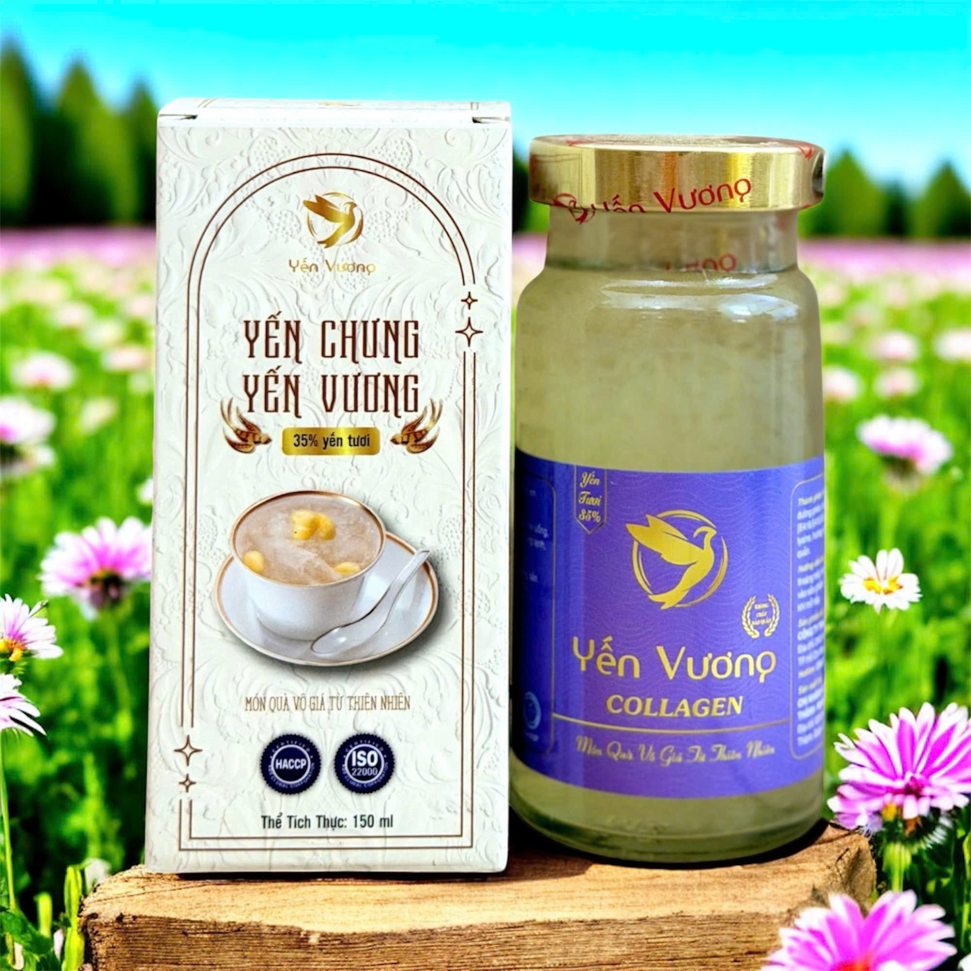 Hũ yến Vương 140ml có hộp Collagen